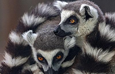 Fami通新一周日区销量榜 《破晓传说》两连冠